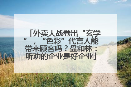 外卖大战卷出“玄学”，“色彩”代言人能带来顾客吗？盘和林：听劝的企业是好企业